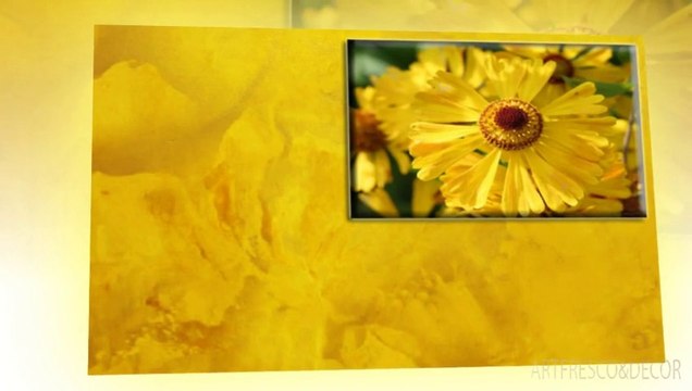 DECORATIVE PLASTERING APPLICATION master decorator TRAVERTINO STUCCO MARMORINO VENETIAN PLASTER