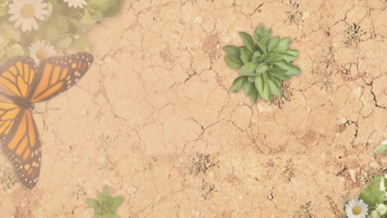 Mini Split Air Conditioning Units in Auburn (A Thermostat).