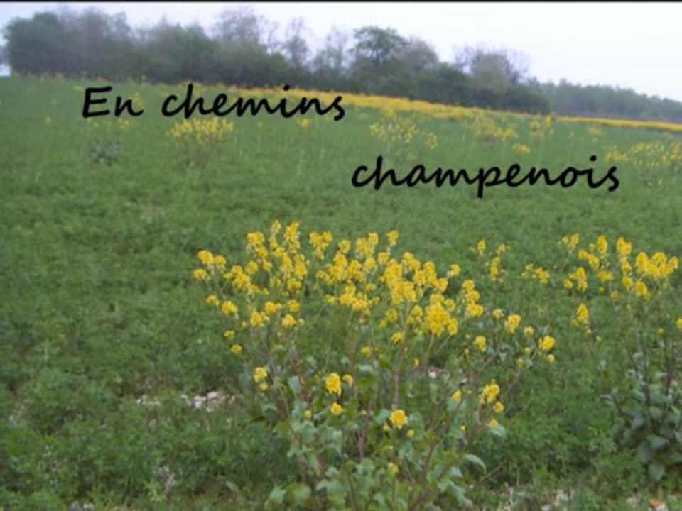 EN CHEMINS CHAMPENOIS