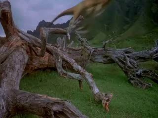 Seguro que ahora veréis las aves de un modo distinto