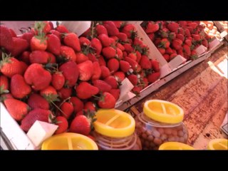 Bisikletliler Derneği AYdın Şubesi Acharaka Sultanhisar Turu