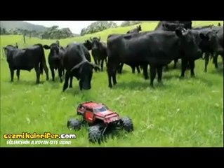Sürü Psikolojisi