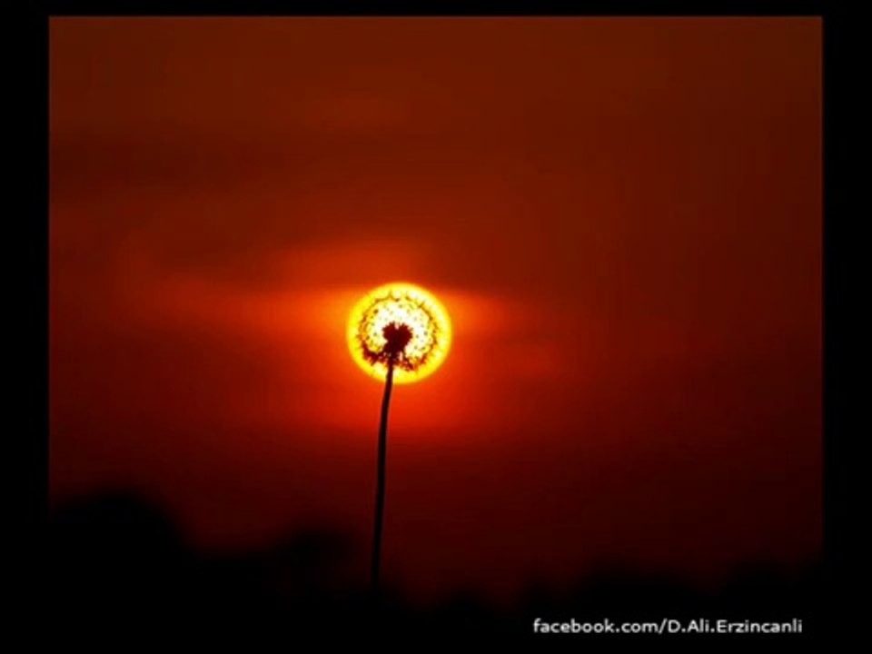Asude Bir Şafak - Dursun Ali Erzincanlı