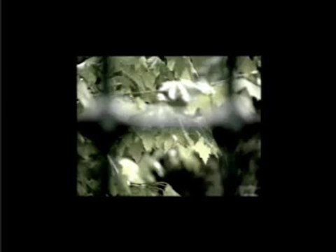 Ben Böyle Olmamalıydım // Dursun Ali Erzincanlı