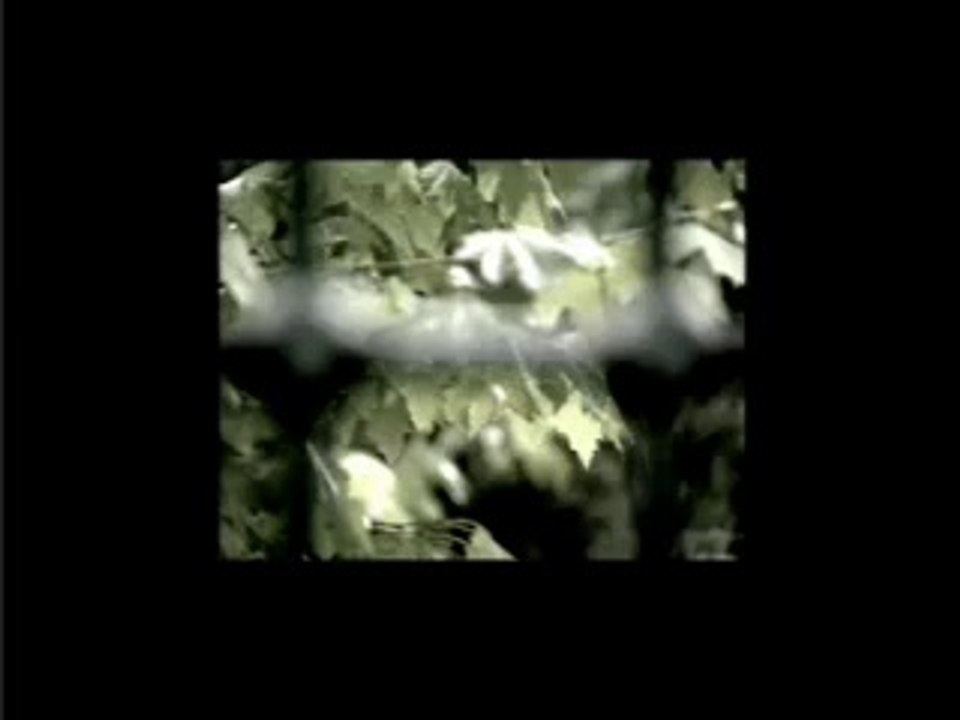 Ben Böyle Olmamalıydım // Dursun Ali Erzincanlı