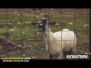 Skrillex feat Keçi - First Of The Year 2