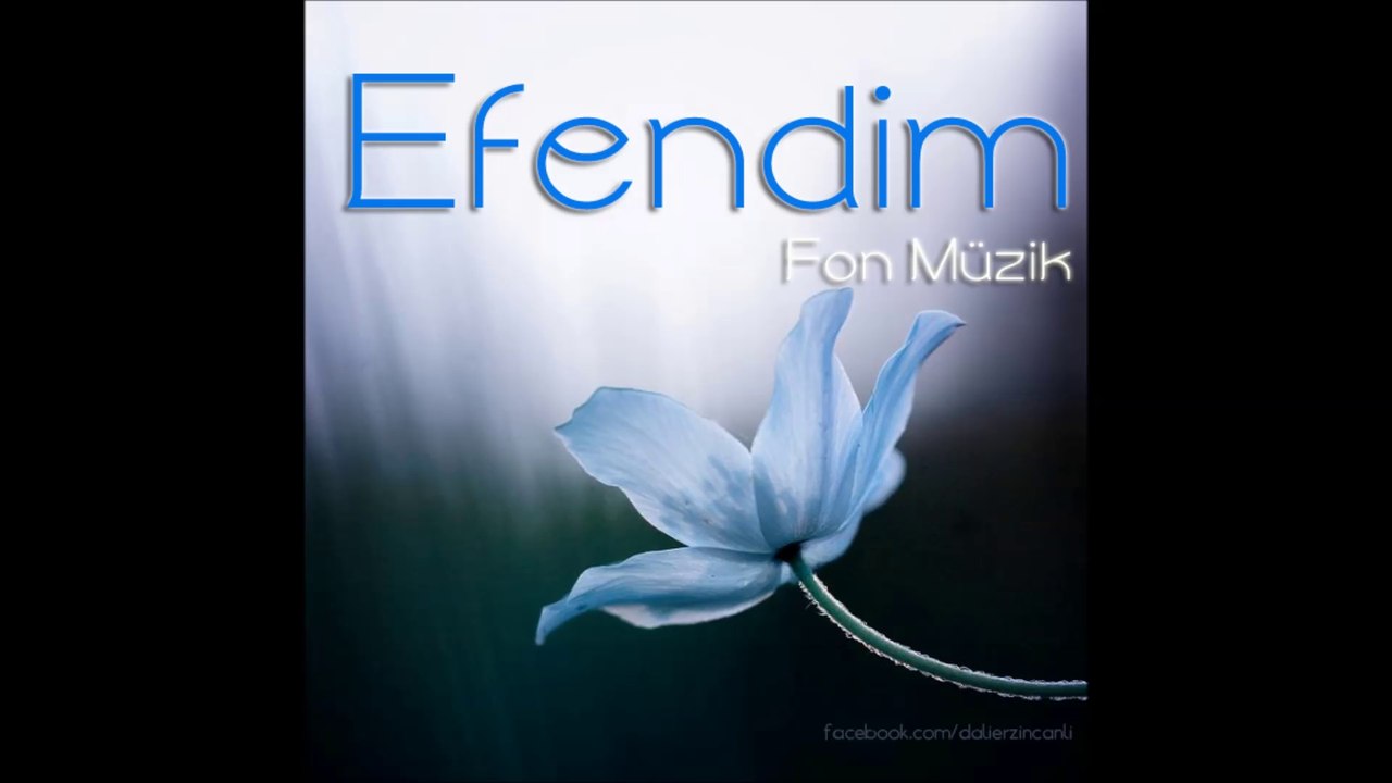 Efendim - Fon Müzik  (D. Ali Erzincanlı)