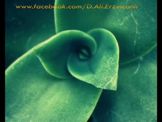 Efendim // Dursun Ali Erzincanlı