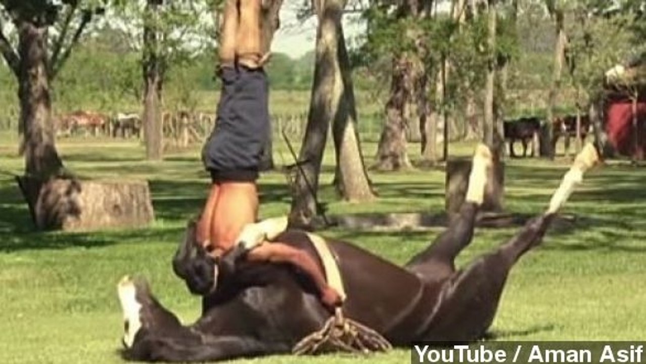 Top 3 Animal Stories Of The Week
