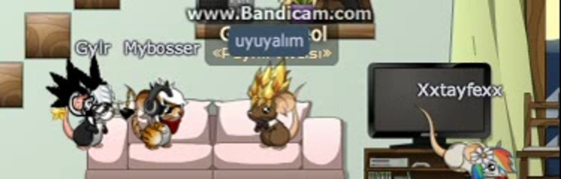 1. videom