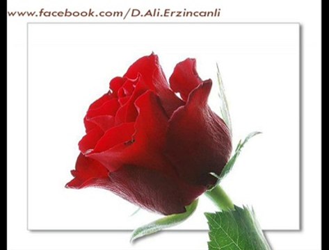 Ey Gül - Dursun Ali Erzincanlı