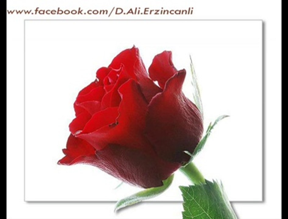 Ey Gül - Dursun Ali Erzincanlı