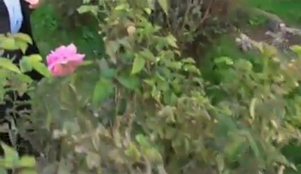 Gül Bahçesi - Dursun Ali Erzincanlı