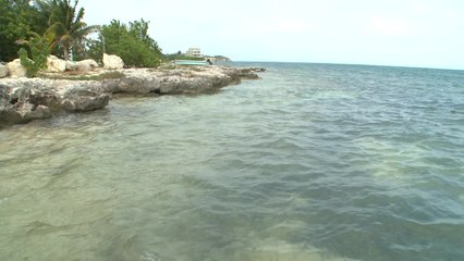 Dive-Friendly Resorts in Cayman Islands