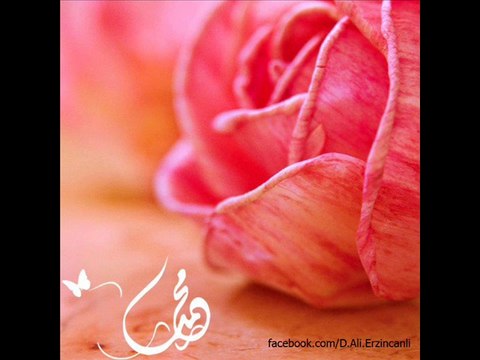 Medinenin Gülü - Dursun Ali Erzincanlı