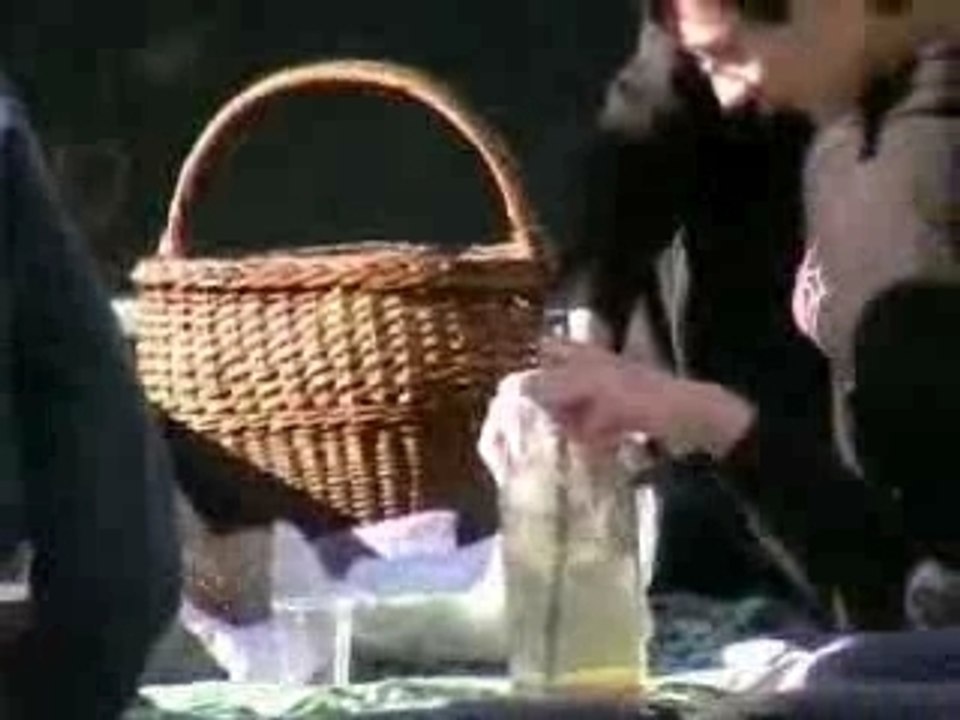 Picnic