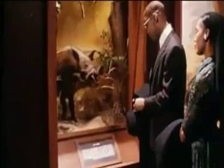 Why is Pig Haram in Islam