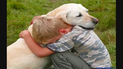 CİCİ KÖPEĞİM Hilmi Seyrek ve Düşgezginleri 2014