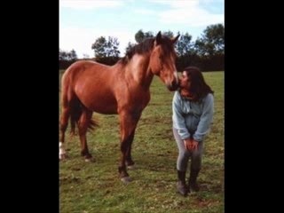 une histoire....un poney..
