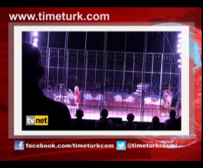 Hayvan sirklerinin gerçek yüzü!