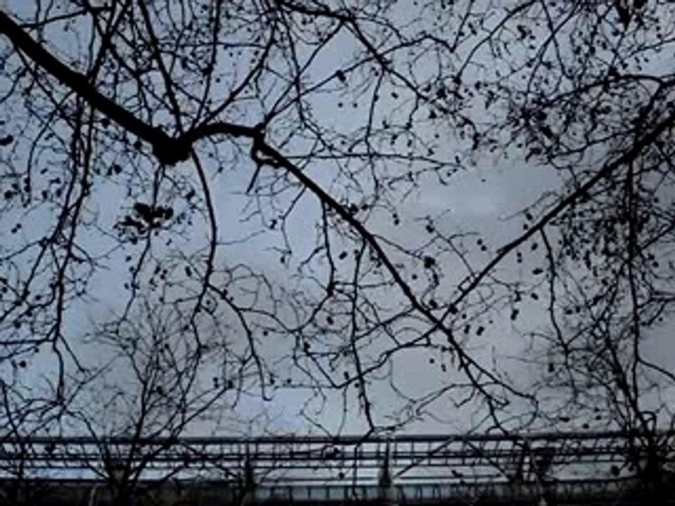 Expo Tintin à Beaubourg