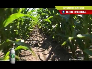 Primena Cirkona u ratarskim usevima_ 343 _ 12.04.2014.