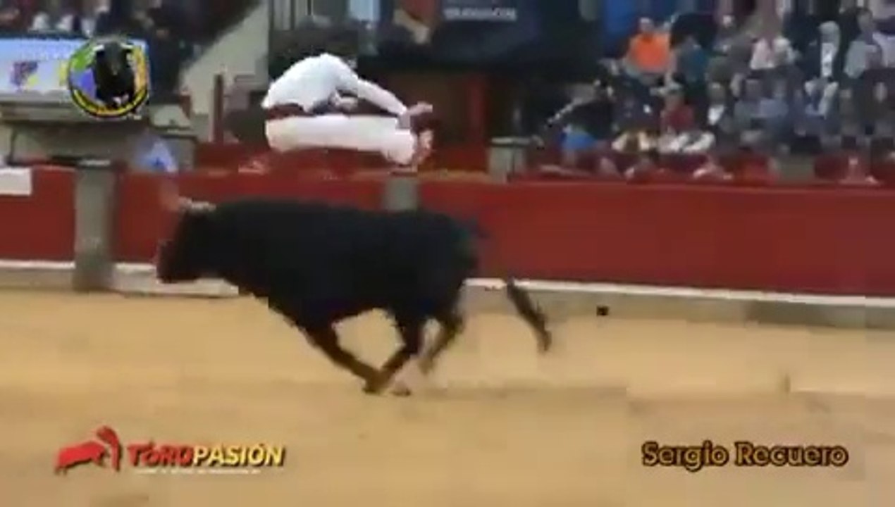 Extreme Sport - Epic Bull Fight Players
