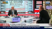 Guillaume Poitrinal, co-président du Conseil de simplification, dans Le Grand Journal - 14/04 3/4