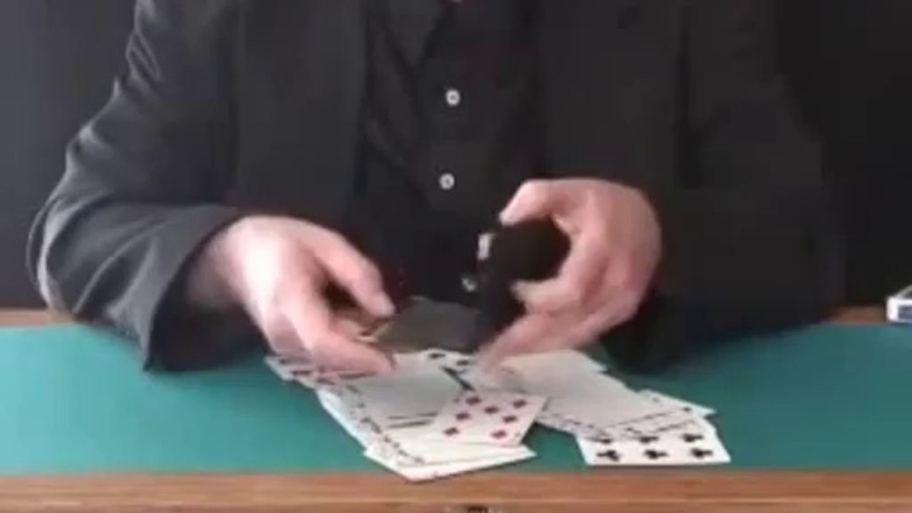 Solaris Wallet by Bob Solari - Card Magic Trick