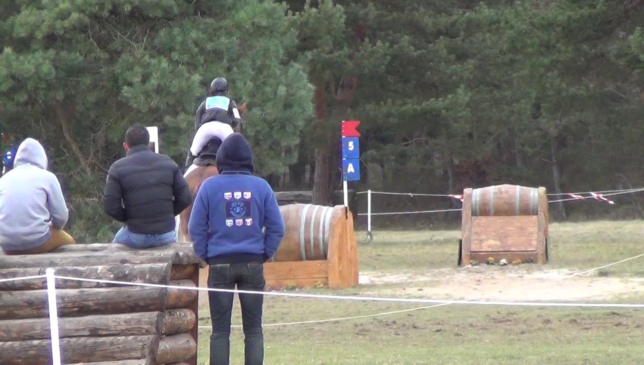 JBE Lyre cross CIC2* Fontainebleau