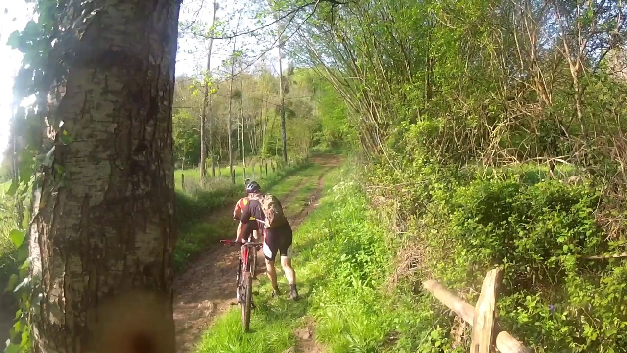 Lambon 2014 - 2