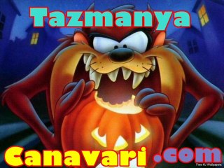 seslihertelden maltepe ümraniye  sarıgazi sohbet