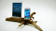 Driftwood iPhone 5 & iPad Mini Dock - Gadgets