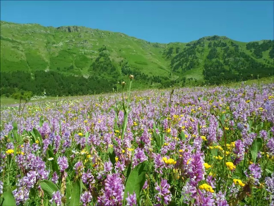Aşağı Çayırlı Köyü Özledim