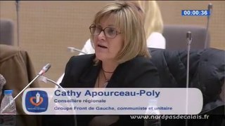 Intervention Cathy Apourceau-Poly carte de formation professionnelle 14-02-14