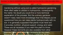 Growing Plants Without Soil: Hydroponic Gardening