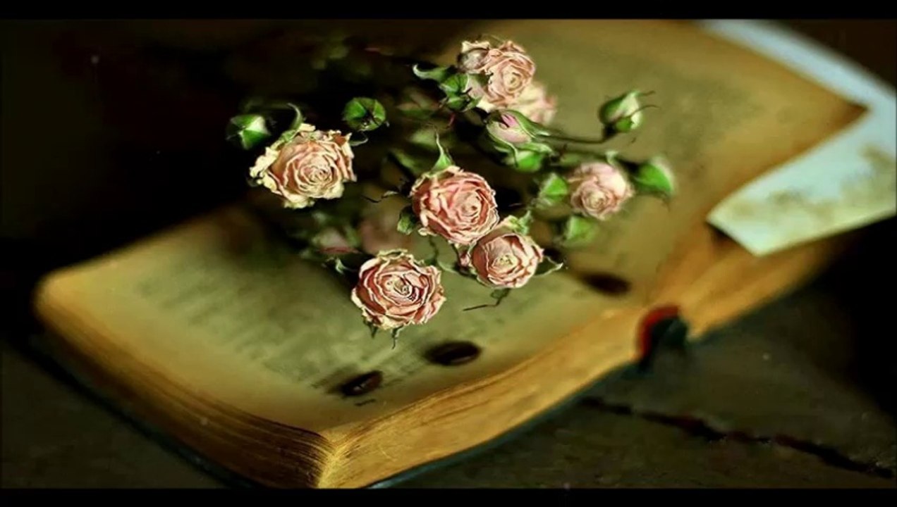 You mean everything to me..( Sen Benim için HerŞey demeksin...)