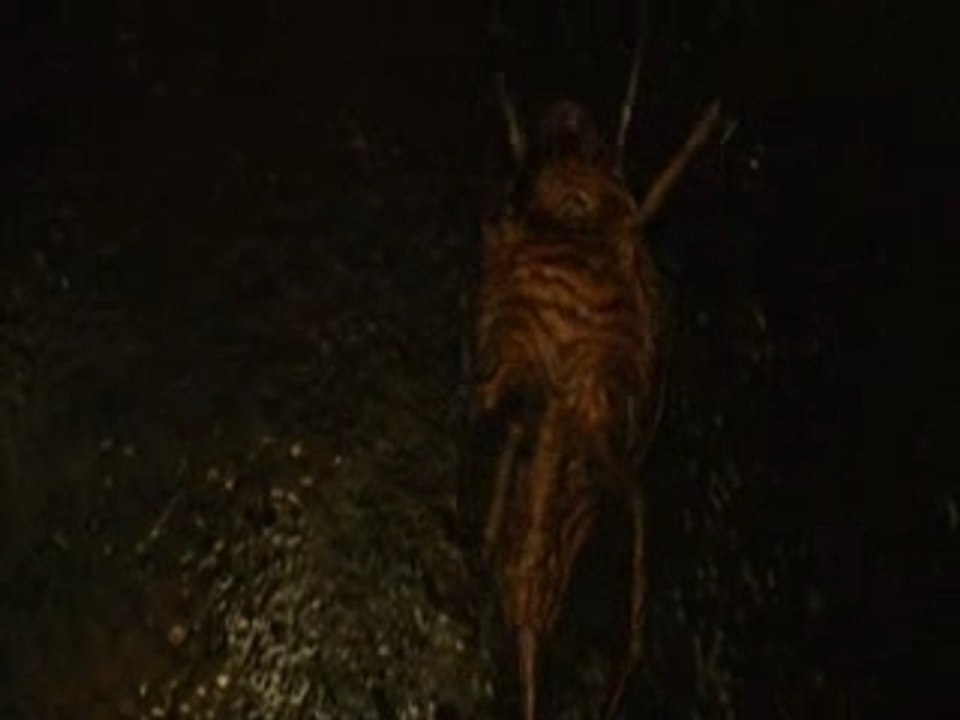 [AMV] clip du film Silent Hill (musique de SH1 inclu)