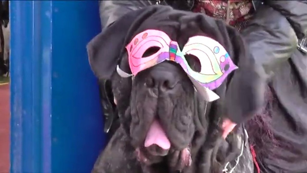 Le Carnaval de Ploufragan 2014