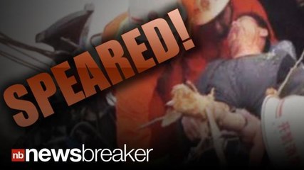 SPEARED: Chinese Trucker Impaled By Giant Wooden Stake