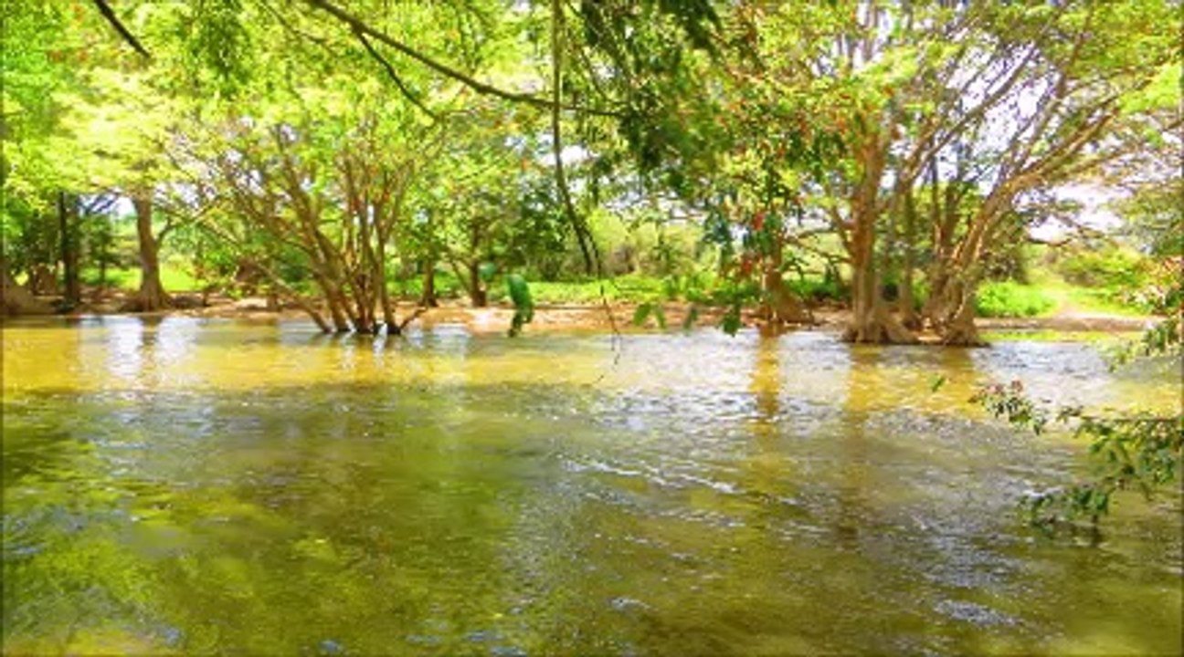 Puttalam area