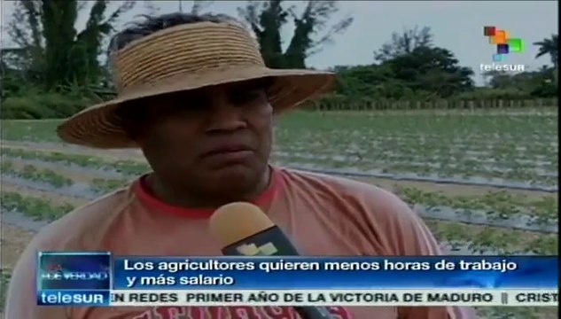 Campesinos migrantes luchan por condiciones dignas en Homestead