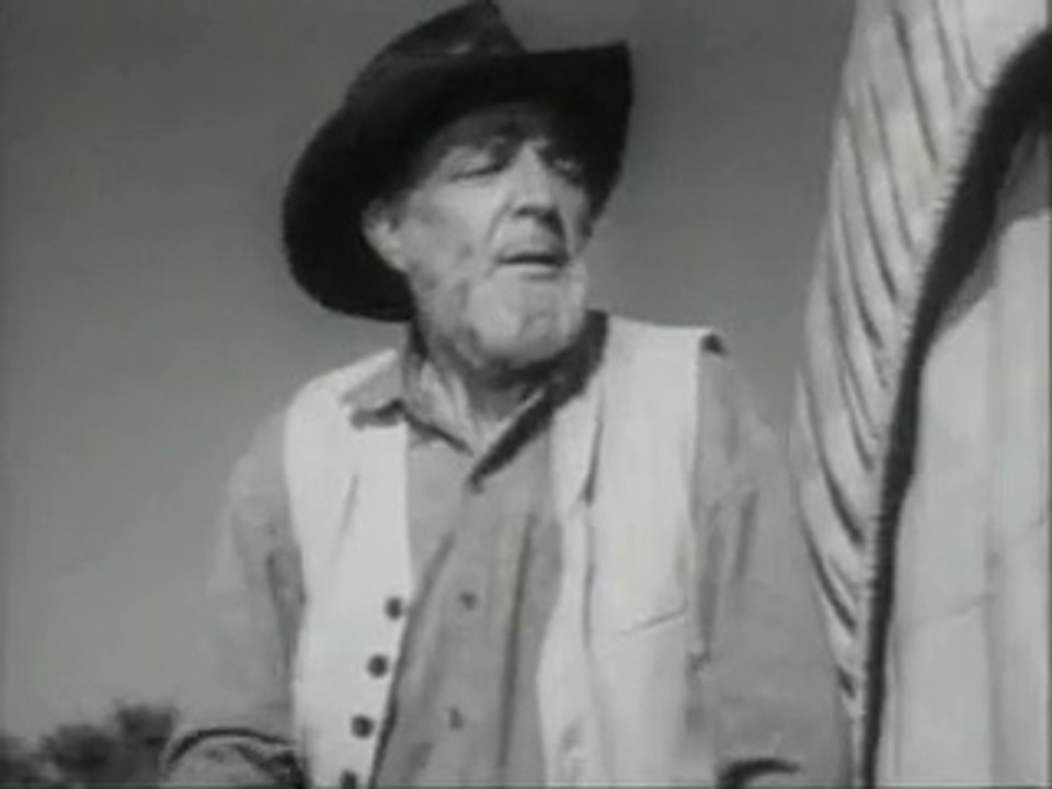Wagon Train
