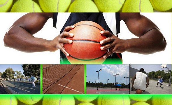 Fence Installation in Sarasota, Florida (FL)