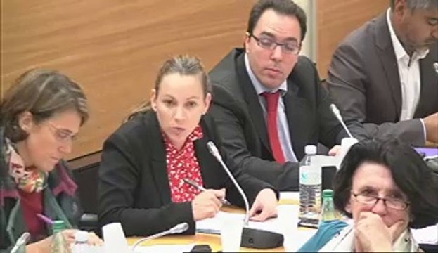 Audition de Mme Isabelle Falque-Pierrotin, présidente de la CNIL - Jeudi 4 Octobre 2012