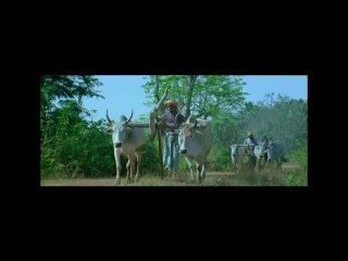 Idiot - Ichha Will u Marry Me