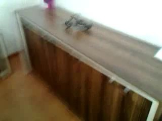 LİNEA MAKAM TAKIMI  1. SINIF AKSESUAR KULLANILMIŞTIR İMALATCI HİSAR OFİS