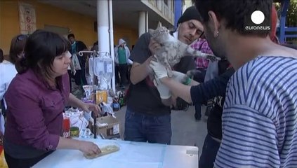 Chile: Valparaiso residents survey ruins as wildfire dies down