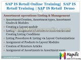 sap is retail Online Training and Certification by SAP professionals