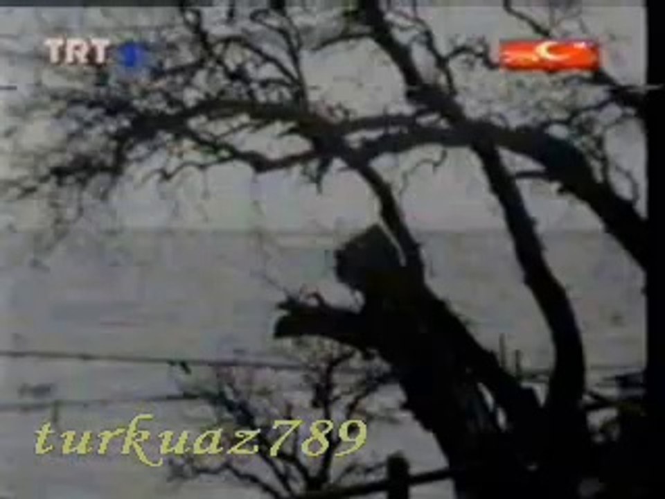 Münir Nûrettin SELÇUK-Aziz İstanbul (1)